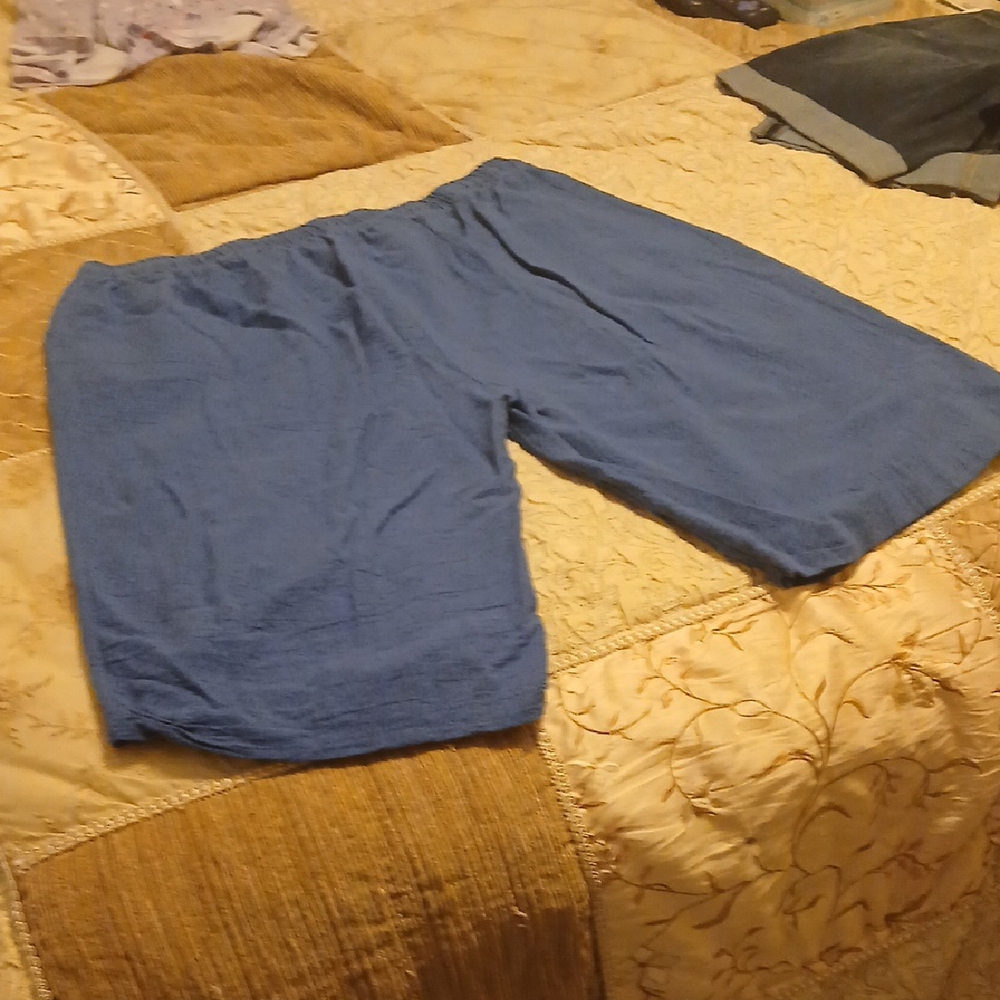 Source Unknown Blue Bermuda Shorts Relaxed Fit